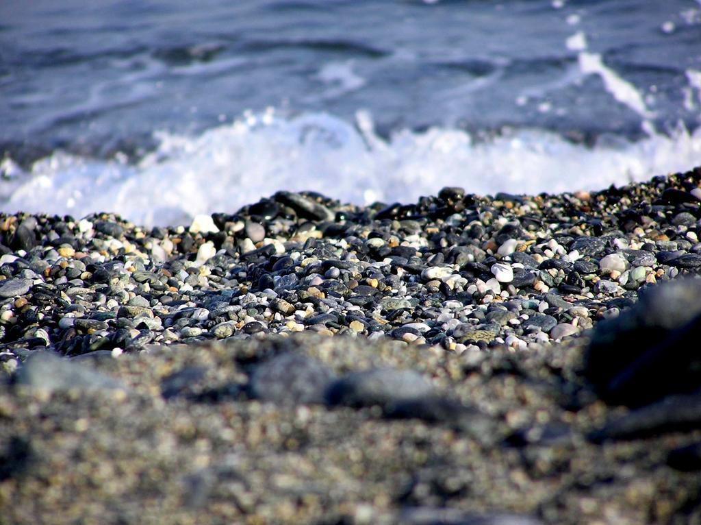La Camogliese Camogli