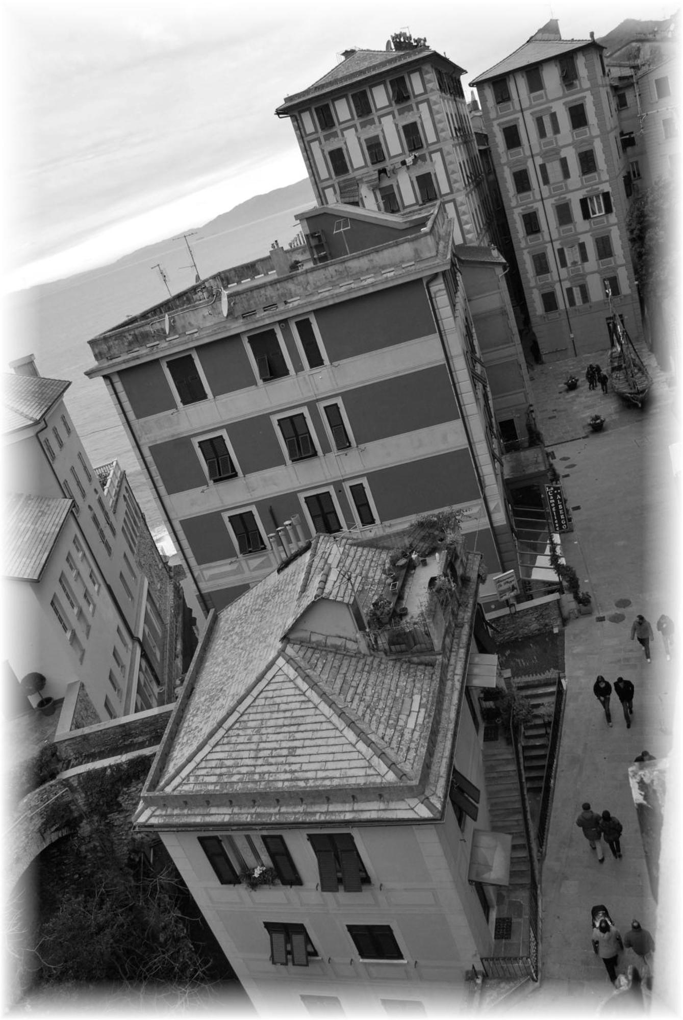La Camogliese